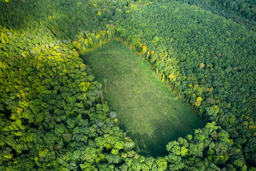 Sustainable Living: Small Changes with Big Impact