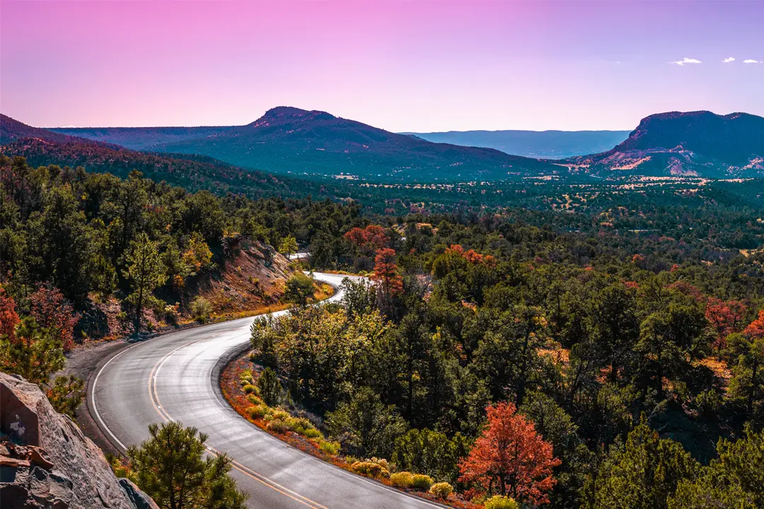 New Mexico 101: Land of Enchantment-Native Culture, Art, and Chile