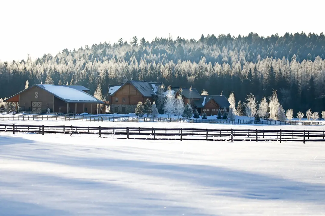 Montana 101: Big Sky Country, Outdoor Paradise, and Rugged Independence