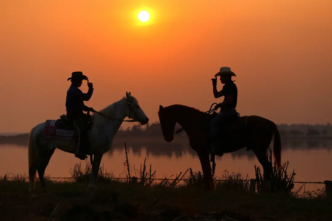 Texas 101: Everything's Bigger-Economy, Culture, and Independence Spirit