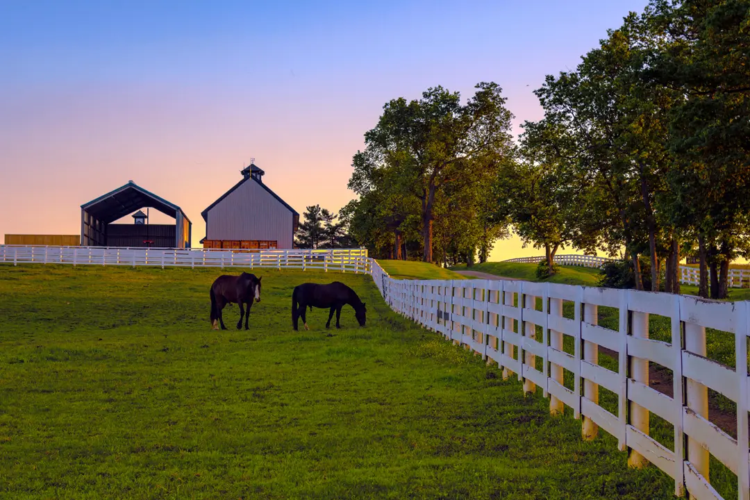 Kentucky 101: Bourbon, Horses, and Bluegrass Tradition