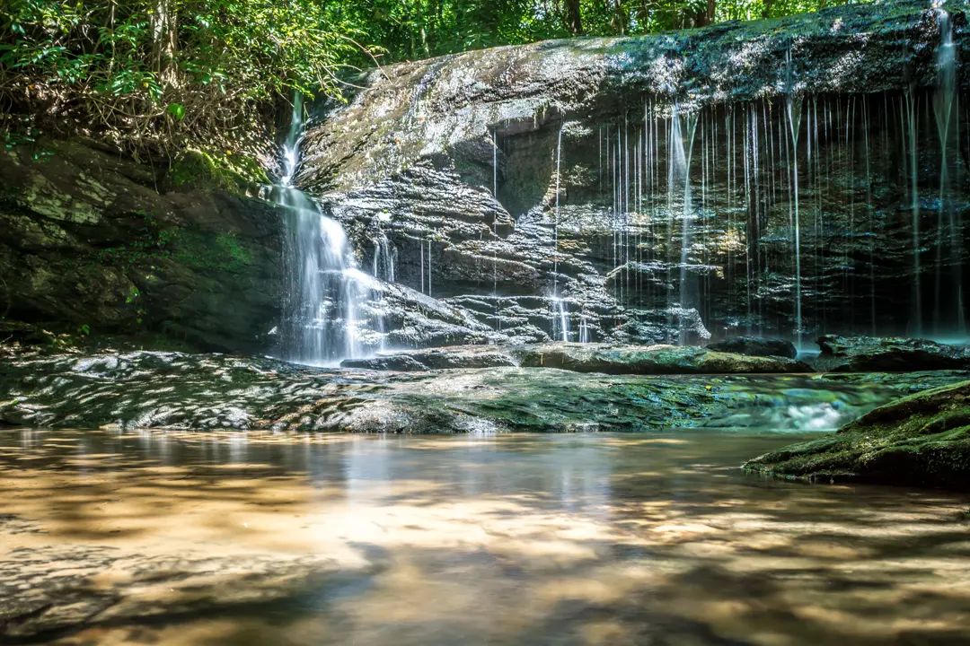 South Carolina 101: Charleston Charm, Myrtle Beach, and Southern Hospitality