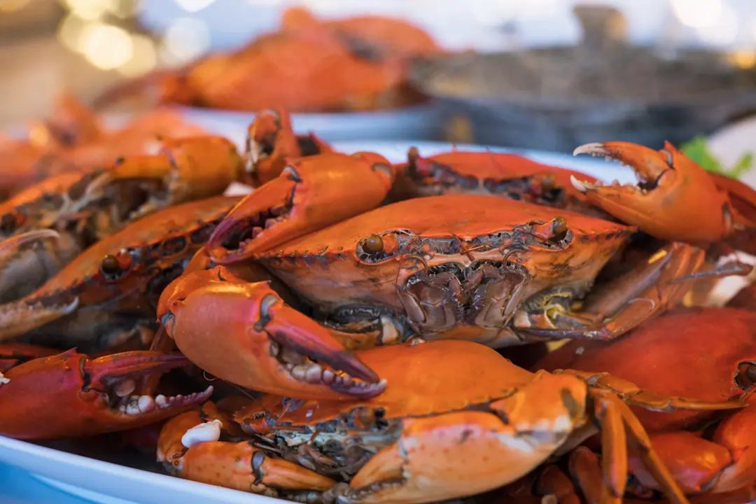 Maryland 101: Crabs, Federal Jobs, and Baltimore's Comeback Story