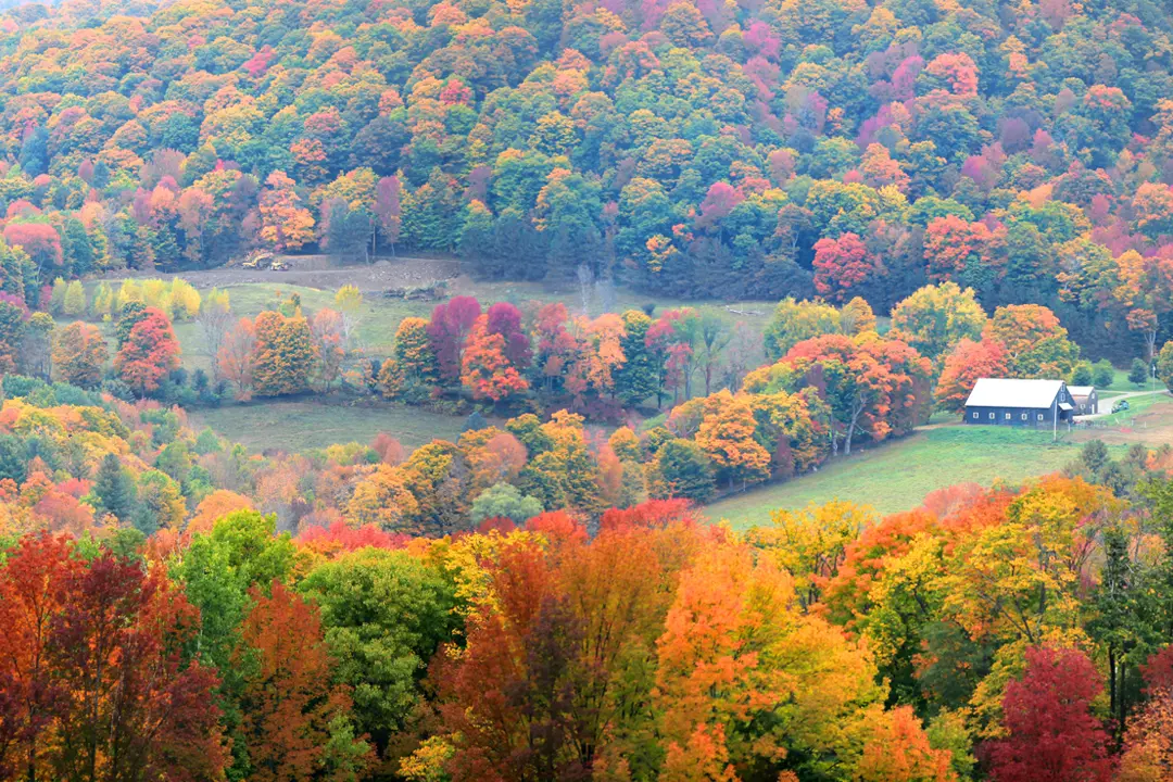 Vermont 101: Bernie Sanders, Ben & Jerry's, and Progressive Mountain Living