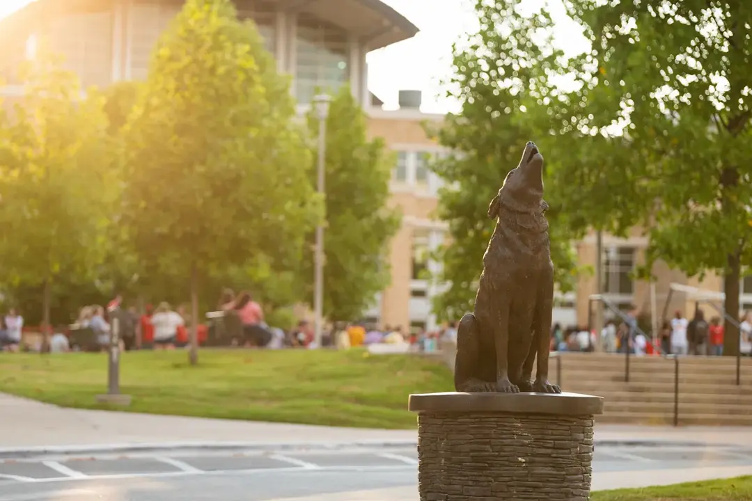 Best Universities in Arkansas
