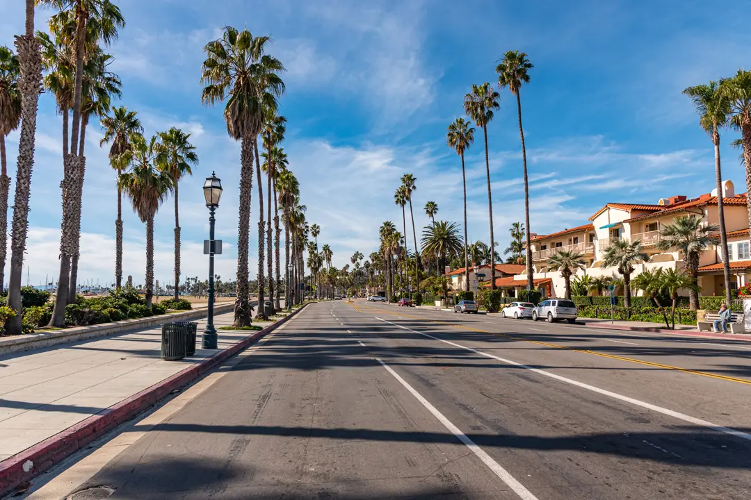 California 101: The Golden State Guide (Everything from Silicon Valley to LA)