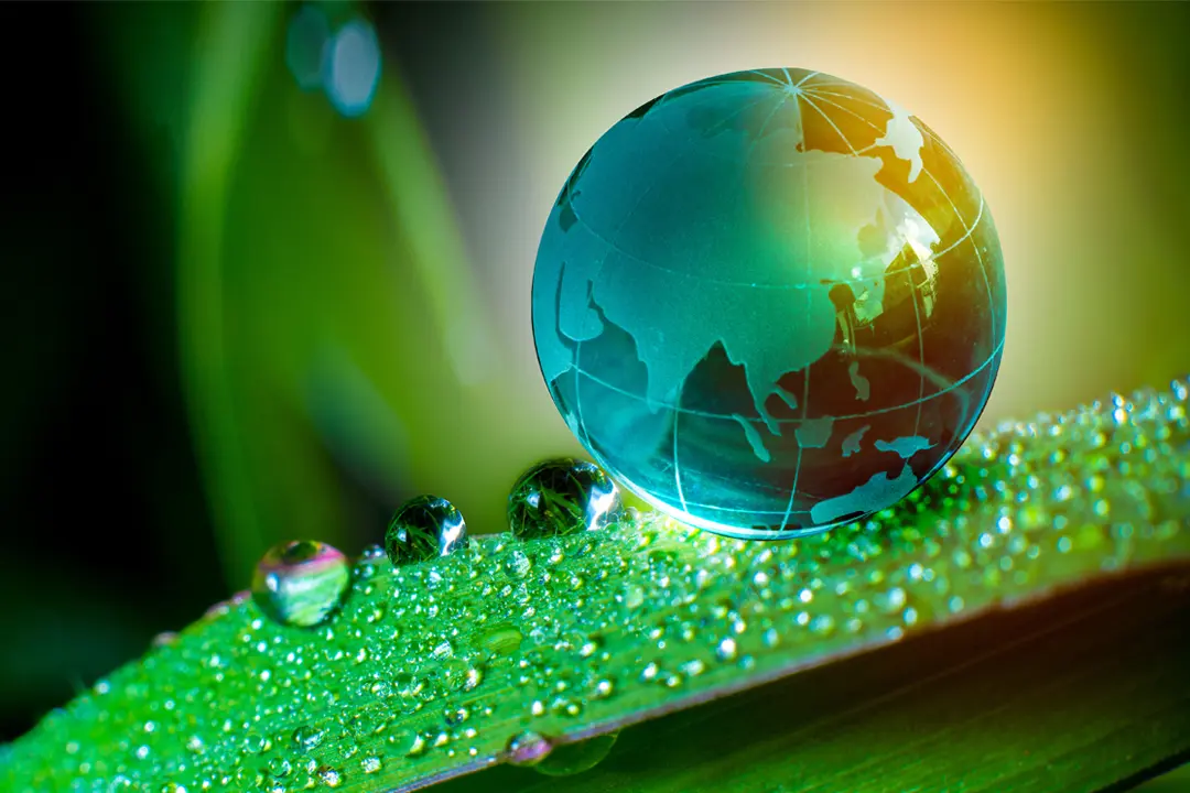 Zero-Waste Living: 10 Easy Swaps for a Sustainable Household