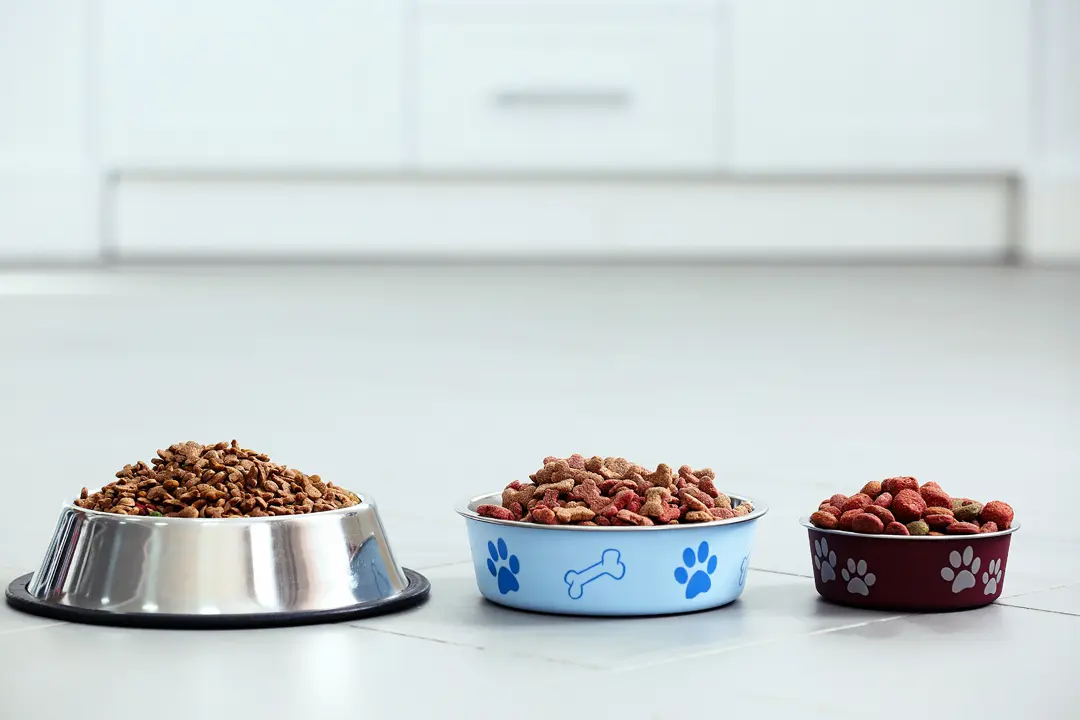 Pet Nutrition 2026: Understanding Ingredient Labels in Dog Food