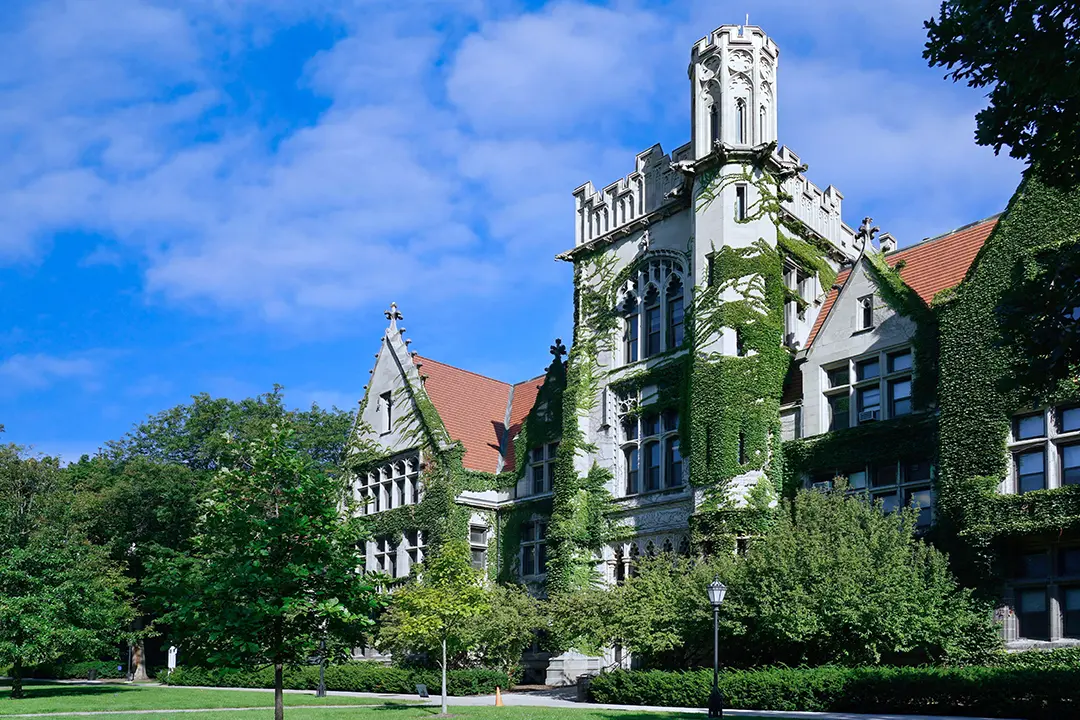 Ivy League vs. Public Ivies: Choosing the Right Prestige
