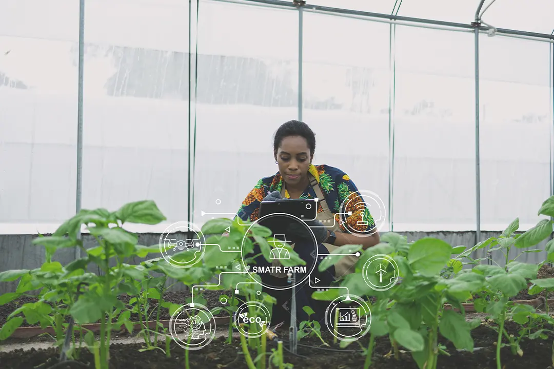 Beyond ChatGPT: 5 AI Tools That Will Automate 3 Hours of Your Workday