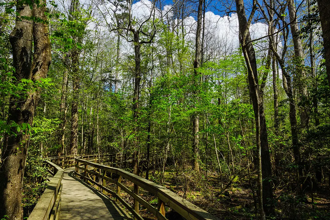 "Quiet Parks" of America: The Best Destinations to Escape Noise Pollution