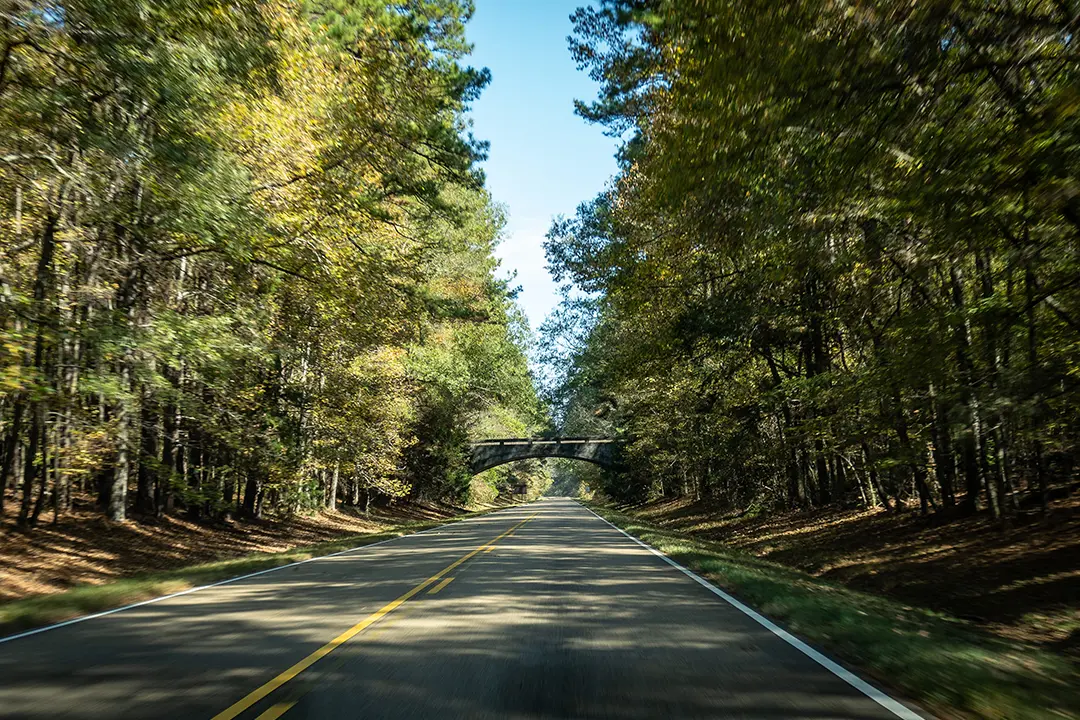 Top 10 "Hidden Gem" Road Trip Destinations in the USA