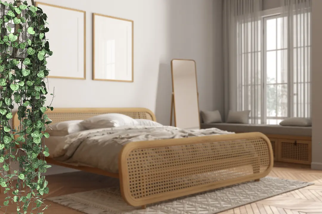 Biophilic Design: How to Turn Your Apartment into a Stress-Free Indoor Jungle