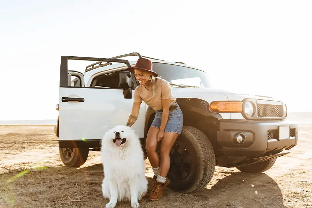 Top 5 Methods to Strengthen the Bond with Your Furry Friend